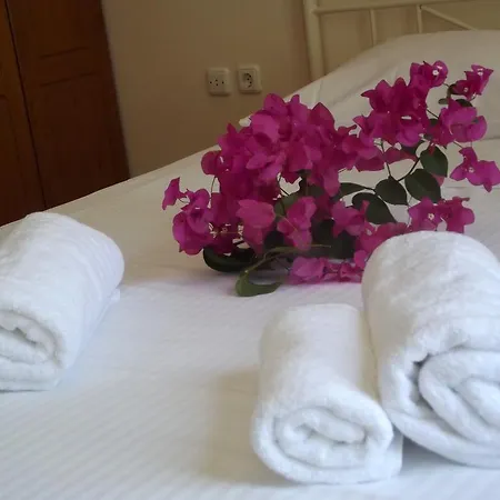Apartamento Chryssalis Garden Naxos City